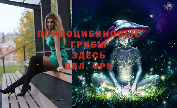 дживик Орск