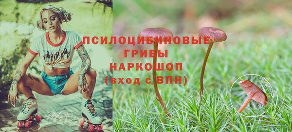 прущая мука Мурманск