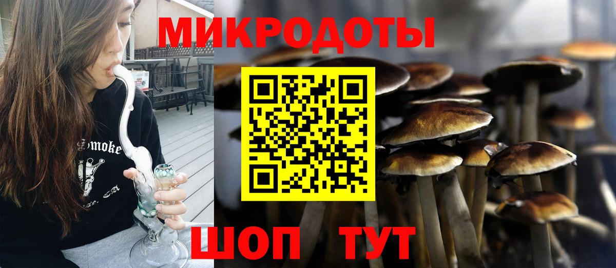 Галлюциногенные грибы Magic Shrooms Россия
